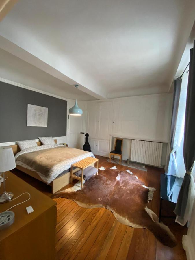 Vaste Appartement Centre Historique De Dole Eksteriør billede